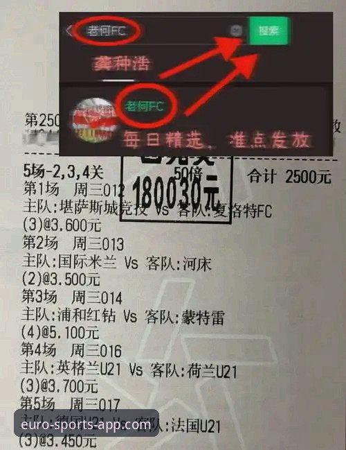 中欧体育APP下载链接 资深用户分享:如何安全获取中欧体育APP下载链接及深度使用心得